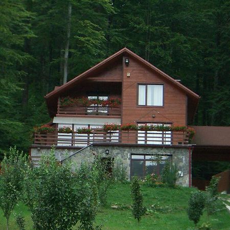 Villa Mara Sinaia Exteriér fotografie