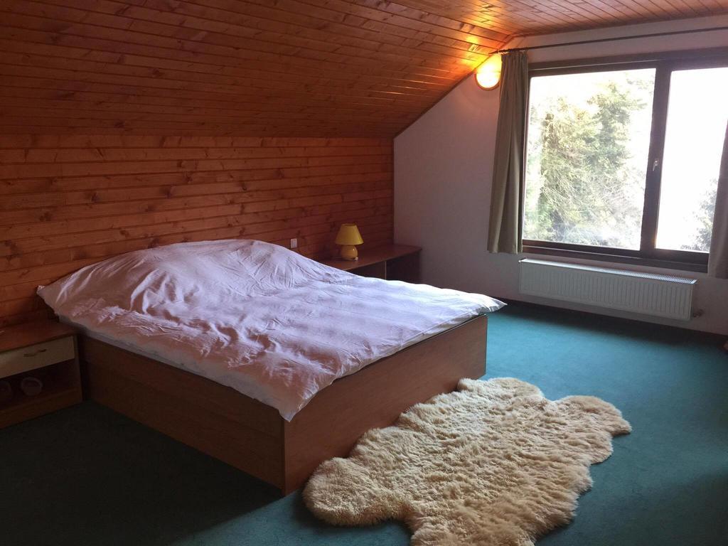Villa Mara Sinaia Exteriér fotografie