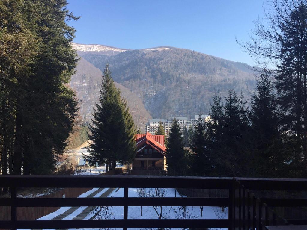 Villa Mara Sinaia Exteriér fotografie