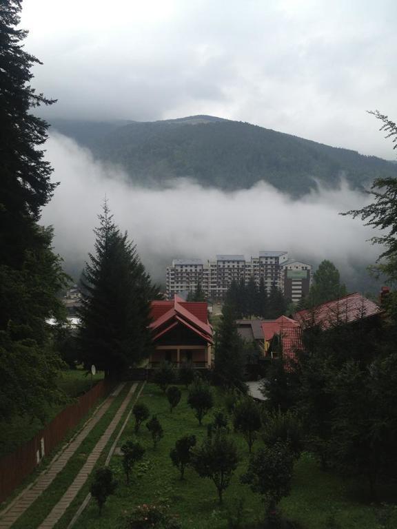 Villa Mara Sinaia Exteriér fotografie