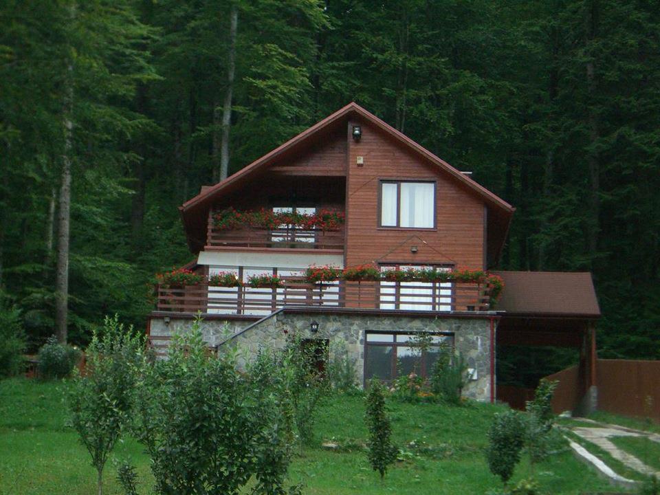 Villa Mara Sinaia Exteriér fotografie